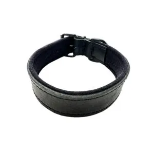 Hetz Halsband Leer 50mm Gevoerd