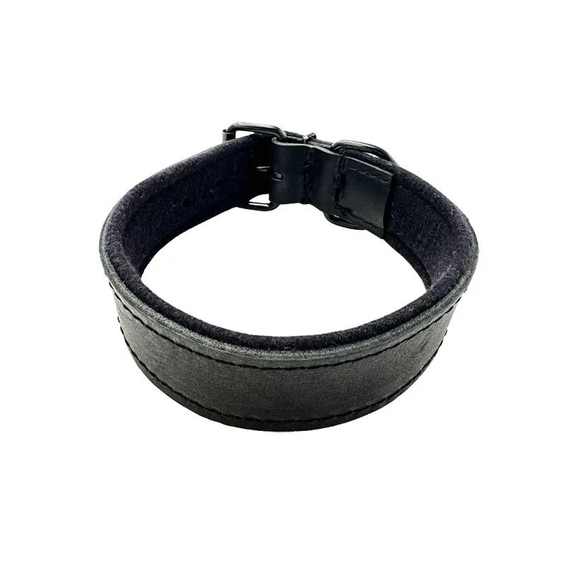 Hetz Halsband Leer 50mm Gevoerd
